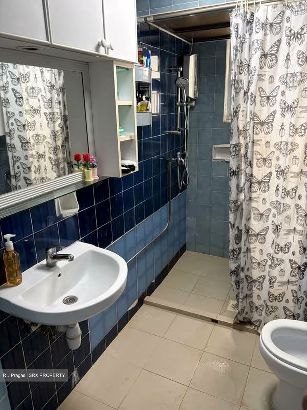 Braddell View (D20), Apartment #580935751